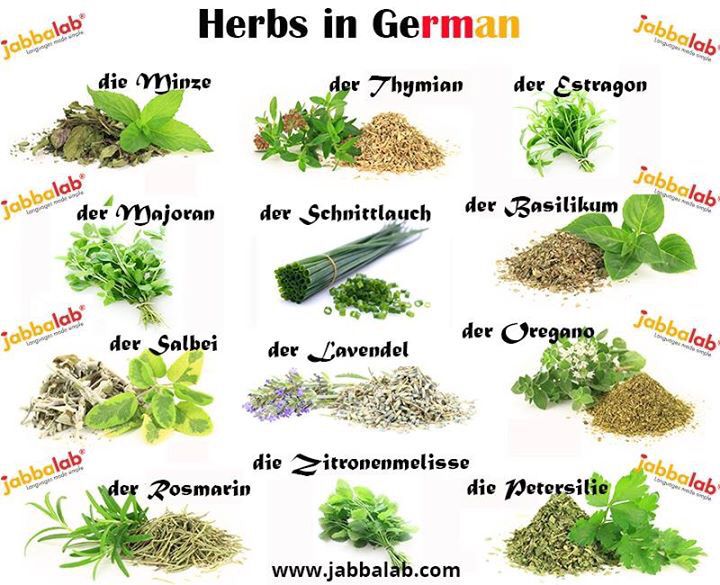گیاهان دارویی به زبان آلمانی، گیاهان و خواص دارویی به زبان آلمانی