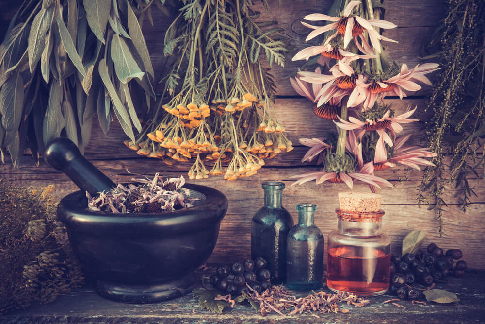 گیاهان دارویی به زبان آلمانی، گیاهان و خواص دارویی به زبان آلمانی 